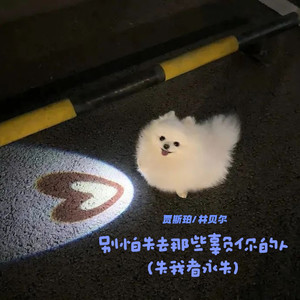 别怕失去那些辜负你的人(失我者永失)