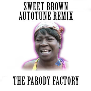 Ain't Nobody Got Time for That (feat. The Parody Factory)