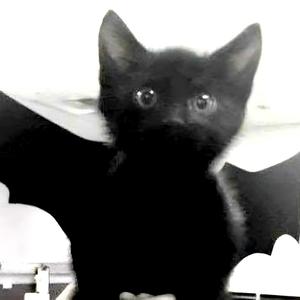 soberiguess (feat. 4NZO) (Explicit)