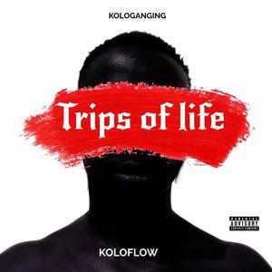 Trips Of Life