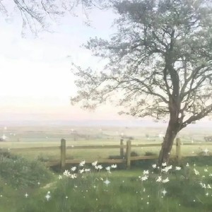 我们的爱就如泡沐一般