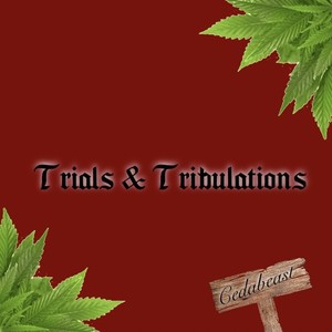 Trials & Tribulations (Explicit)