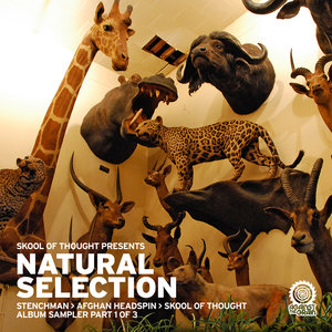 Natural Selection - Album Sampler Pt 1