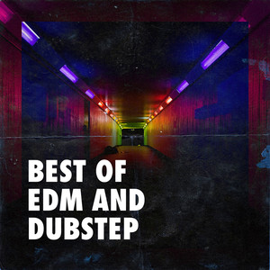 Best of EDM and Dubstep