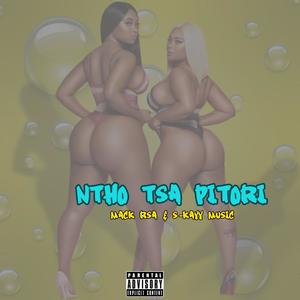 Ntho Tsa Pitori (feat. Bacardi PTA)