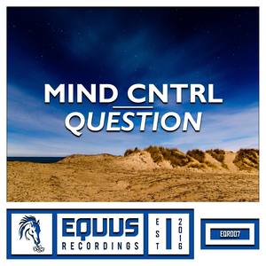 Question (Original Mix)