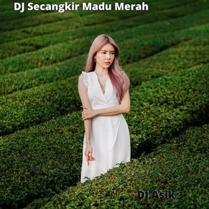 DJ Secangkir Madu Merah