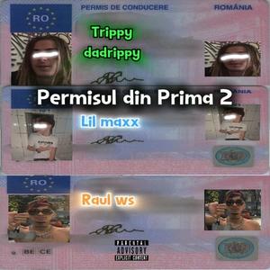 Permisul din prima 2 remix (feat. Raul Ws & Trippydadrippy) [Explicit]