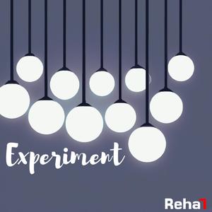 Experiment
