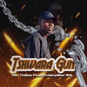 Tshwara Gun (feat. Catarpillar SA)