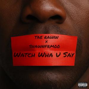 Watch What U Say (WWYS) (feat. Shawnfrm00) (Explicit)