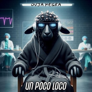 Un Poco Loco