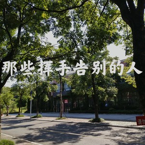 那些挥手告别的人