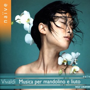 Brigitte Täubl - Concerto for Viola d'amore and Lute in D Minor, RV 540 - III. Allegro (D小调协奏曲，作品540 - 第三乐章：快板- 为维奥尔琴和鲁特琴而作 - 第三乐章，快板)