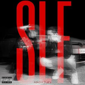 SLF (feat Zushi & Cesarbeats) [Explicit]