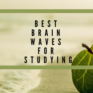 Study Music for Concentration and Focus
