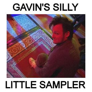 Gavin's Silly Little Sampler (Explicit)