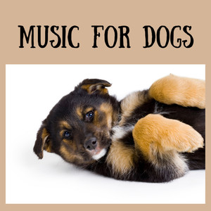 Music For Dogs