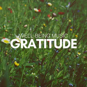 Gratitude: Well-Being Music, Gentle Background Music, Restful Balancing, Reiki, Personal Transformation