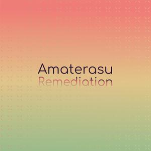 Amaterasu Remediation