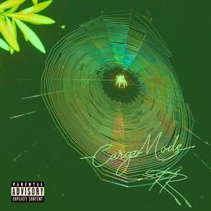 Zaza Vibes (Explicit)