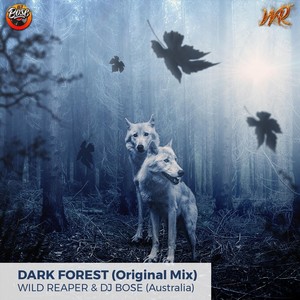 Dark Forest (feat. Wild Reaper)