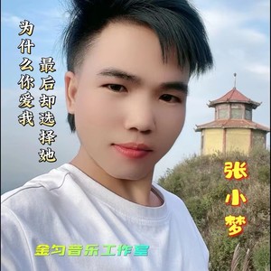 为什么你爱我最后却选择她