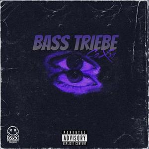 Bass Triebe