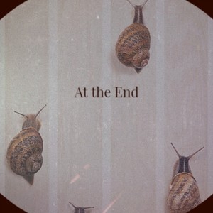 A Sure Thing - Stinger