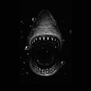 Sharkin Music (Explicit)