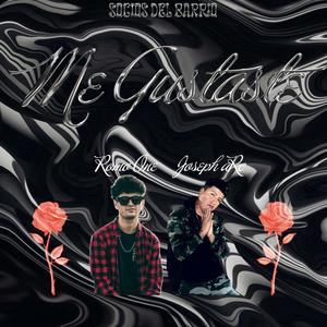 Me Gustaste (feat. Romo One)