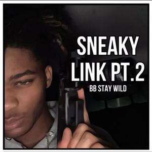 SNEAKY LINK PT.2 (Explicit)