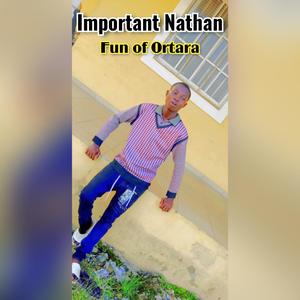 Fun of Ortara (feat. Codedmakoko)