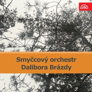 Smyčcový orchestr Dalibora Brázda