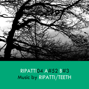 Ripatti04