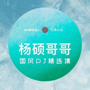 青春梦里人 (DJ杨硕哥哥版)封面