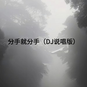 余丰ins - 分手就分手 (DJ说唱版)