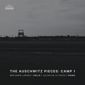 The Auschwitz Pieces: Camp 1