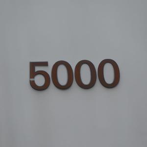 5000 (Explicit)