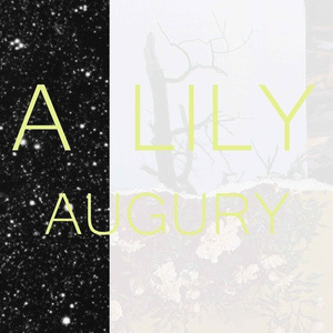 Augury