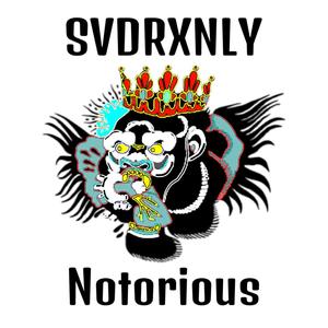 Svdrxnly Notorious