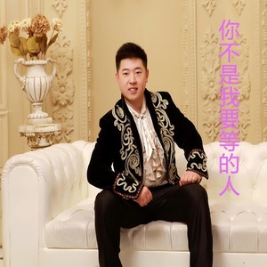 你不是我要等的人