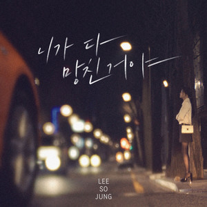 니가 다 망친거야 (You Ruined Me)