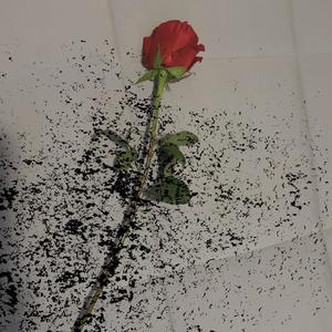 in my class (Explicit)