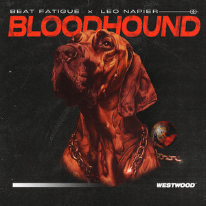 Bloodhound