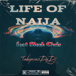 Life of Naija (Explicit)