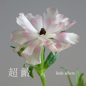 超齡封面