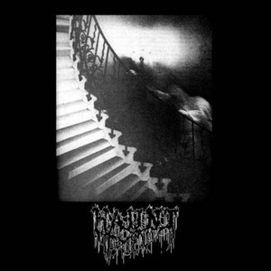 Into the Arms of the Cloaked One