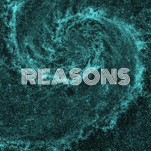 Reasons (Explicit)