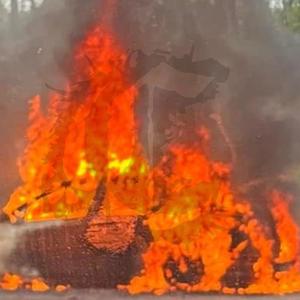 Bad ***** (feat. Emo Fruits) (Explicit)